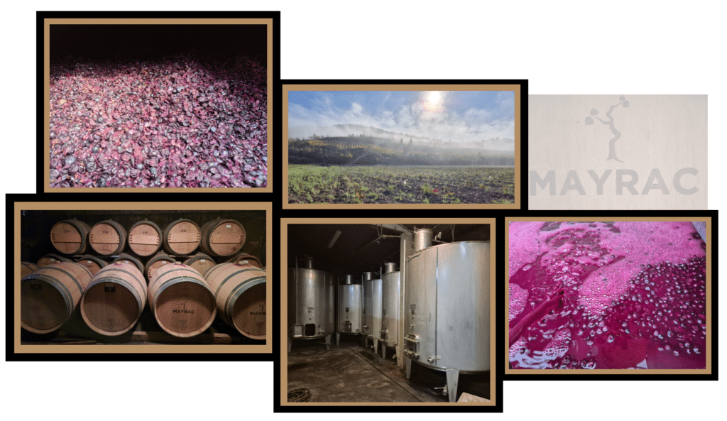 Domaine Mayrac : du vignoble aux fûts de vieillissement Collage du domaine Mayrac : vignoble brumeux, fermentation des raisins, cuves inox et fûts de vieillissement en chêne.